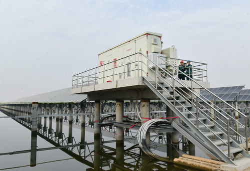 河北滄州 新能源裝機(jī)容量突破千萬千瓦大關(guān) 水產(chǎn)品養(yǎng)殖開啟綠色轉(zhuǎn)型新篇章